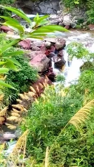 这个地方又是在哪，恭城原来还有那么漂亮的地方322 / 作者:碧澄匀 / 帖子ID:120009