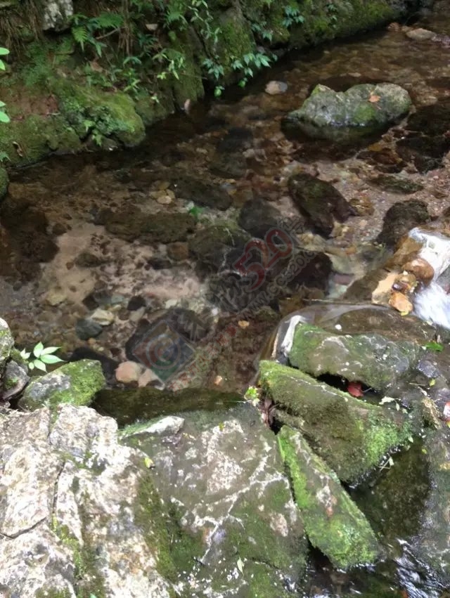 今天骑摩托车去山洞里洗澡真美 还淘了颗漂亮的石头194 / 作者:过往云烟、 / 帖子ID:120254