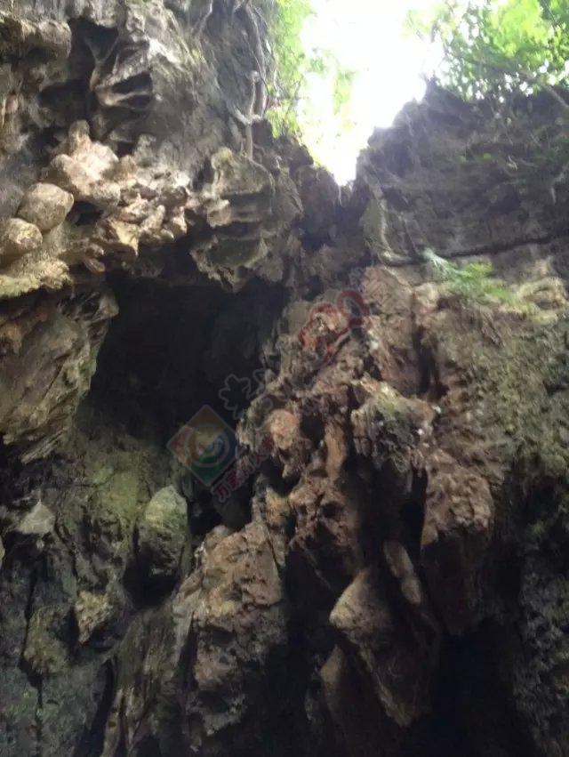 今天骑摩托车去山洞里洗澡真美 还淘了颗漂亮的石头68 / 作者:过往云烟、 / 帖子ID:120254