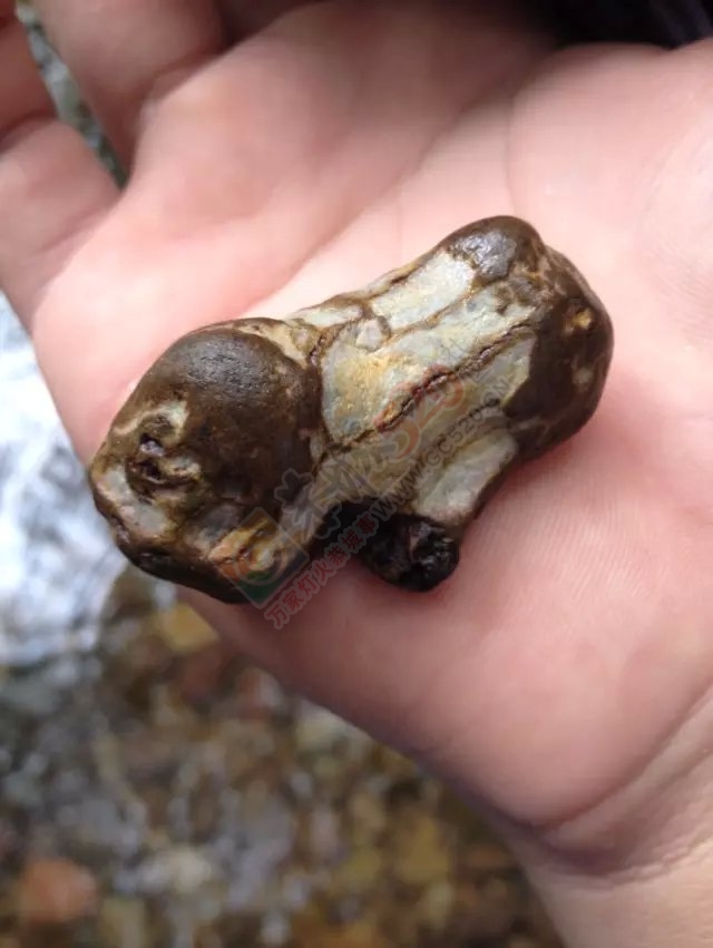 今天骑摩托车去山洞里洗澡真美 还淘了颗漂亮的石头936 / 作者:过往云烟、 / 帖子ID:120254