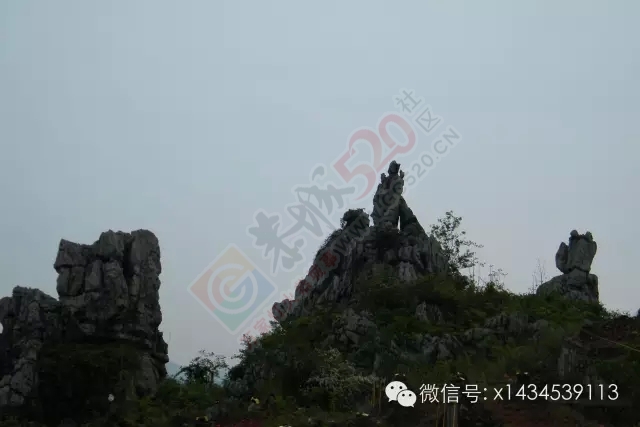 【看恭城】九板躲鬼子崩眼山和道公点斗山802 / 作者:古建灵韵 / 帖子ID:120309