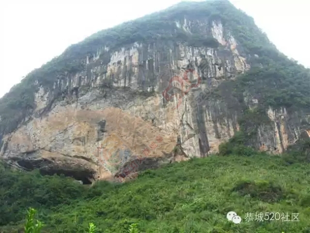 你知道吗?恭城还有一处神奇美丽的地方：原生态猫鼻山风景区631 / 作者:社区小编 / 帖子ID:120631
