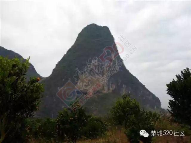 你知道吗?恭城还有一处神奇美丽的地方：原生态猫鼻山风景区84 / 作者:社区小编 / 帖子ID:120631