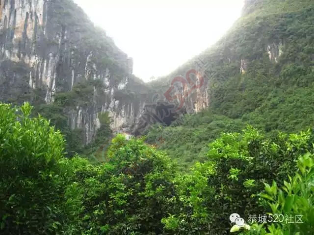 你知道吗?恭城还有一处神奇美丽的地方：原生态猫鼻山风景区482 / 作者:社区小编 / 帖子ID:120631