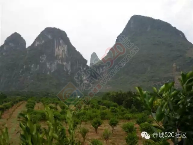 你知道吗?恭城还有一处神奇美丽的地方：原生态猫鼻山风景区67 / 作者:社区小编 / 帖子ID:120631