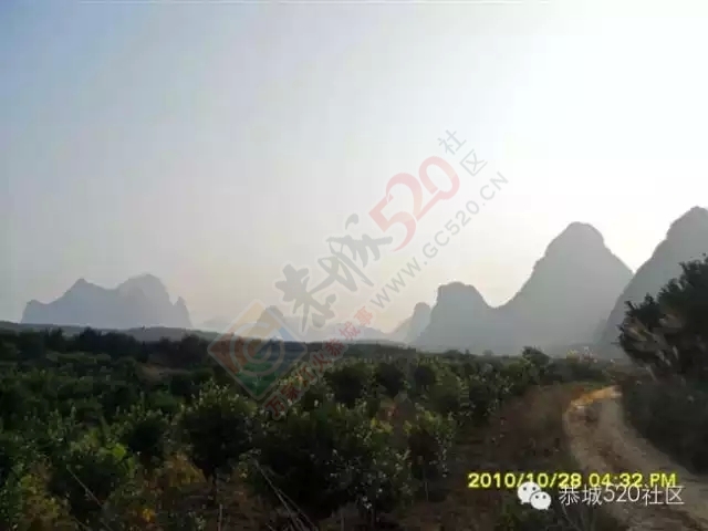 你知道吗?恭城还有一处神奇美丽的地方：原生态猫鼻山风景区514 / 作者:社区小编 / 帖子ID:120631
