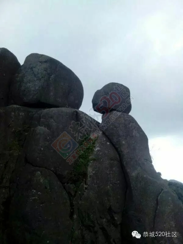 你知道吗?恭城还有一处神奇美丽的地方：原生态猫鼻山风景区551 / 作者:社区小编 / 帖子ID:120631