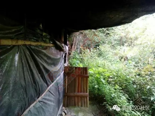 你知道吗?恭城还有一处神奇美丽的地方：原生态猫鼻山风景区401 / 作者:社区小编 / 帖子ID:120631