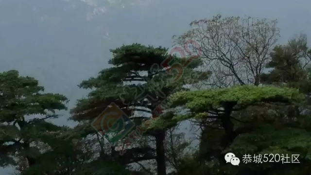 你知道吗?恭城还有一处神奇美丽的地方：原生态猫鼻山风景区427 / 作者:社区小编 / 帖子ID:120631
