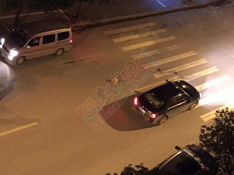 昨晚11点左右，中医院出来的马路上发生车祸139 / 作者:社区小编 / 帖子ID:120785