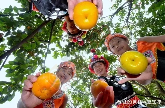 等我们老了，就回恭城！544 / 作者:桂花糕 / 帖子ID:120797