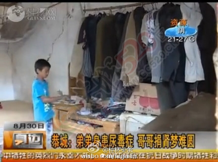【爱心援助】恭城｜哥欲捐肾救弟梦难圆386 / 作者:猫小萌 / 帖子ID:120798