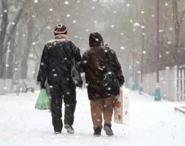 若不容父母，何以容天下？538 / 作者:花开似花落、 / 帖子ID:120960