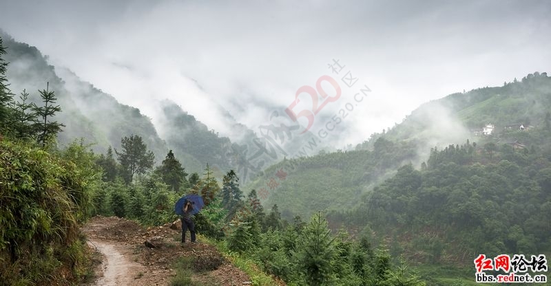 看这作者说这是恭城对面山，我看着怎么不像800 / 作者:恭城520小奈姐姐 / 帖子ID:121035