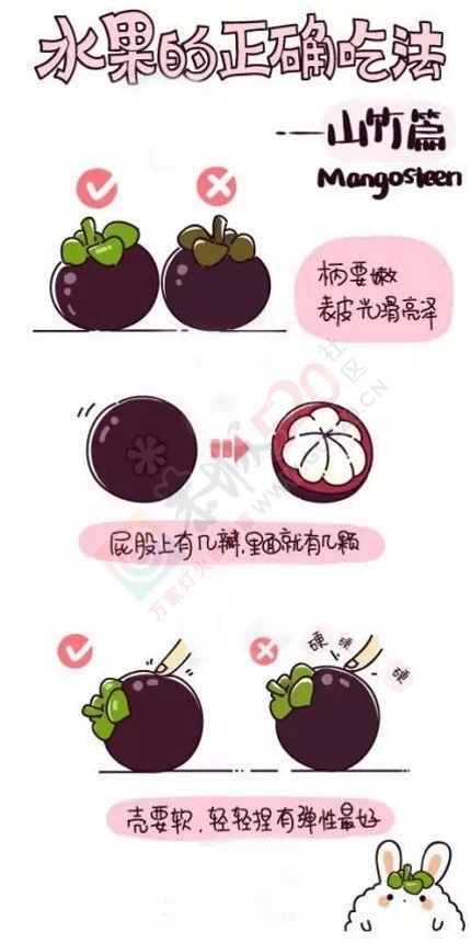 吃了那么多年葡萄，才知道葡萄根本不用一颗颗摘下来洗！636 / 作者:猫小萌 / 帖子ID:121138