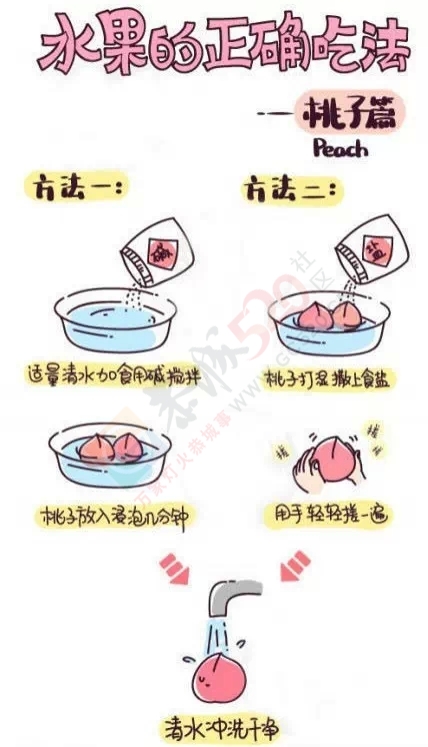 吃了那么多年葡萄，才知道葡萄根本不用一颗颗摘下来洗！488 / 作者:猫小萌 / 帖子ID:121138