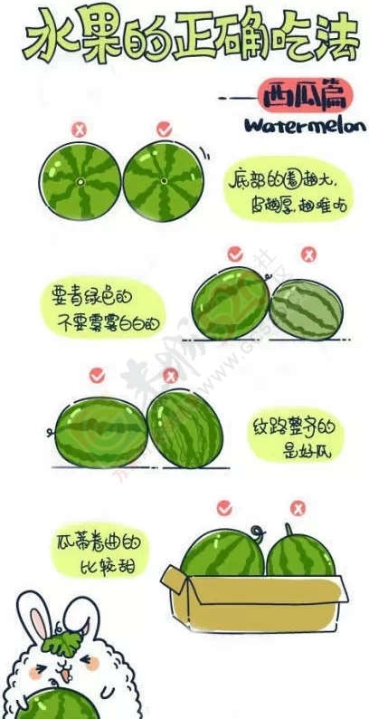 吃了那么多年葡萄，才知道葡萄根本不用一颗颗摘下来洗！287 / 作者:猫小萌 / 帖子ID:121138