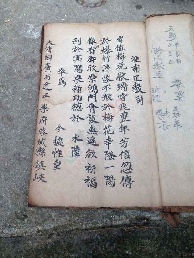 看图说话483 / 作者:恭城蚂蜂 / 帖子ID:121247