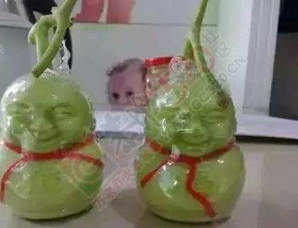 在超市跟外面水果摊卖的“人参果”，一刀下去才知道是什么鬼！141 / 作者:微观恭城 / 帖子ID:121393