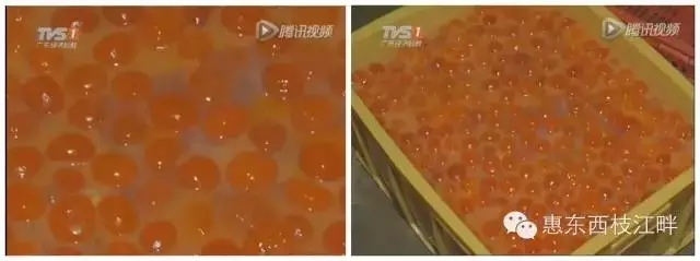 【涨姿势】这样的蛋黄月饼你敢吃吗?问题咸鸭蛋被曝!937 / 作者:微观恭城 / 帖子ID:121489