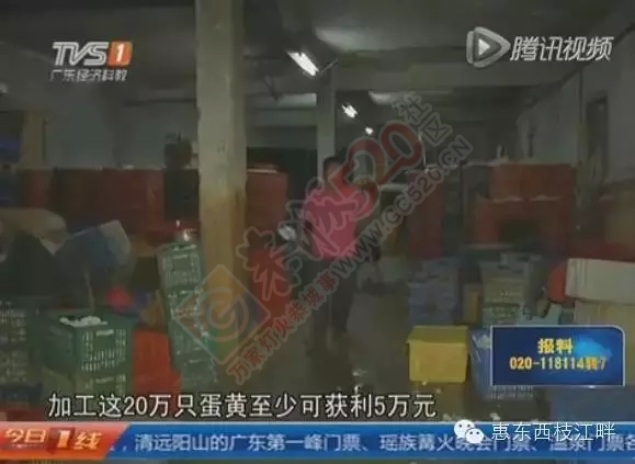 【涨姿势】这样的蛋黄月饼你敢吃吗?问题咸鸭蛋被曝!50 / 作者:微观恭城 / 帖子ID:121489