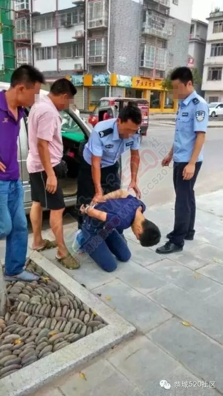 恭城街：豆子鬼偷东西偷到警察蜀黍的车上了，当场被逮现行！830 / 作者:社区小编 / 帖子ID:127466