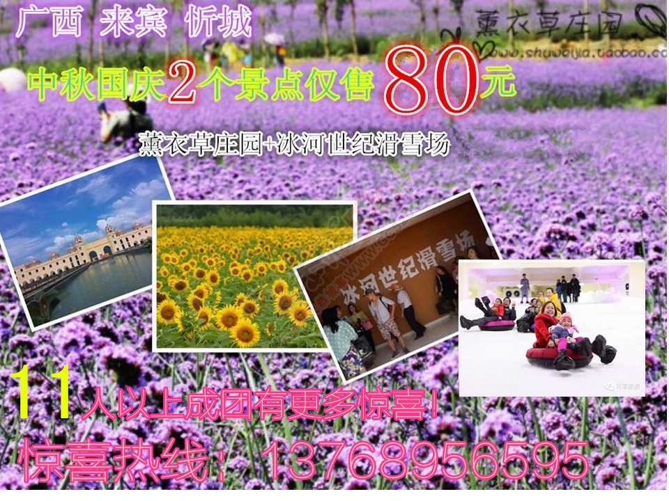 阳光下的花海，美美哒~大叔也忍不住啦621 / 作者:gongcheng0778 / 帖子ID:127824