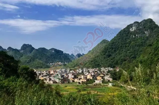 国庆节去哪都是堵，要不就去红岩赏柿子吧~577 / 作者:古建灵韵 / 帖子ID:127825