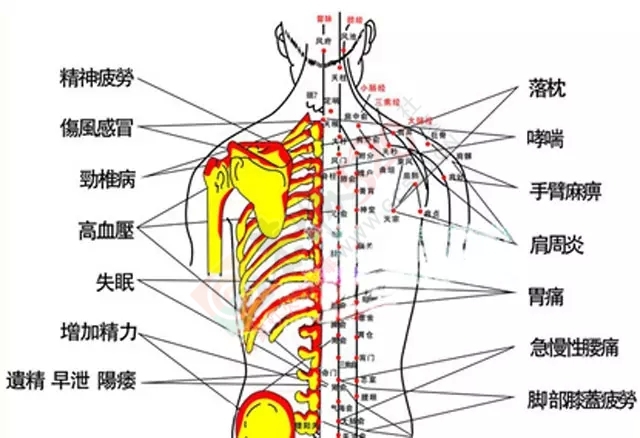 你知道拔罐后的淤血颜色代表着什么吗？557 / 作者:欧耶 / 帖子ID:128071