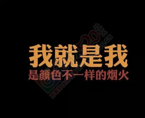 如果把恭城人分分类，竟然是这个样子的……595 / 作者:火星娃崽 / 帖子ID:128073