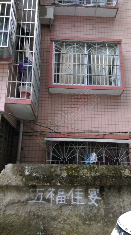 装修污染，噪音扰民何时了800 / 作者:极速6688 / 帖子ID:128103