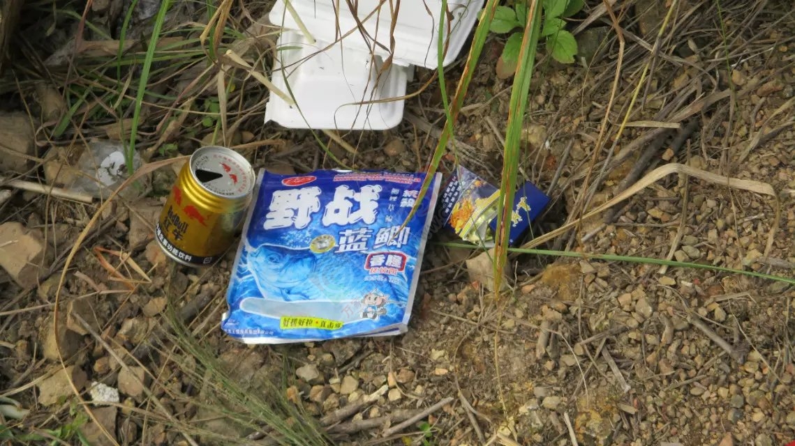 三斤半草鱼MDG352 / 作者:MDG / 帖子ID:128234