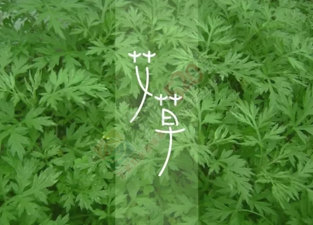 你应该知道的道家长寿秘方！751 / 作者:该做的事情 / 帖子ID:128288