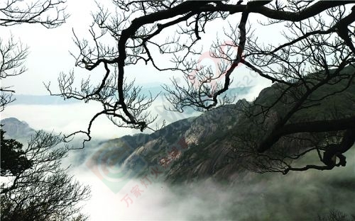 这些告诉你，为什么要留在恭城709 / 作者:微观恭城 / 帖子ID:128338