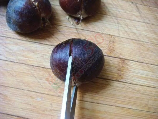 吃货们注意啦！街头热卖的开口糖炒栗子可能有猫腻！868 / 作者:太天真 / 帖子ID:128379