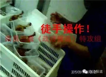 看完这些，恭城还在吃绝味鸭脖的吃货们，你们还好吗……338 / 作者:渲染人生 / 帖子ID:128409