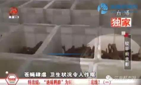 看完这些，恭城还在吃绝味鸭脖的吃货们，你们还好吗……430 / 作者:渲染人生 / 帖子ID:128409