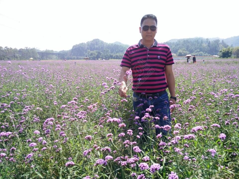 【恭城行者户外】相约你蒙山赏花，走天书峡谷活动487 / 作者:光头铁（老铁） / 帖子ID:128399