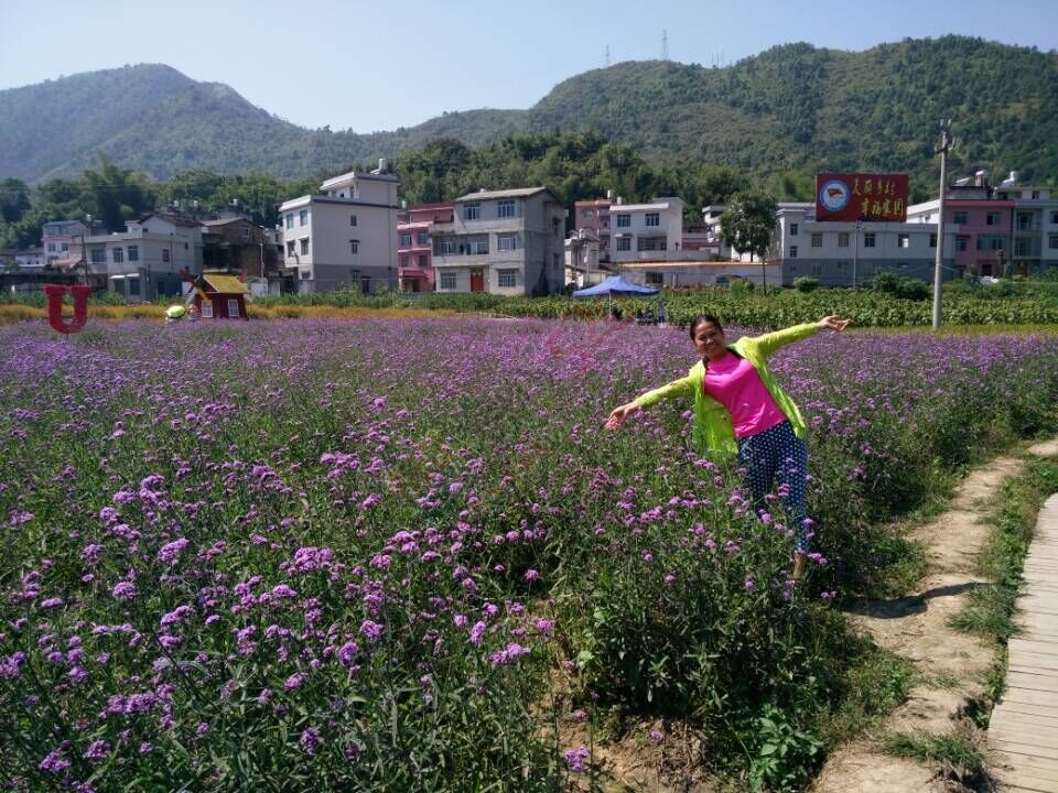 【恭城行者户外】相约你蒙山赏花，走天书峡谷活动907 / 作者:光头铁（老铁） / 帖子ID:128399