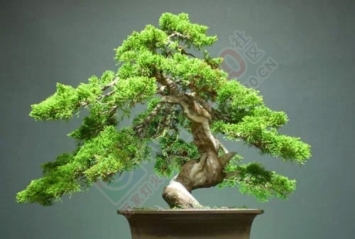 男孩舔了一口，抢救8小时才抢救了回来，大家要注意了885 / 作者:猫就该说喵 / 帖子ID:128443