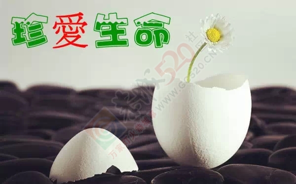 又一个年轻生命离世了！年仅32岁.661 / 作者:该做的事情 / 帖子ID:128449