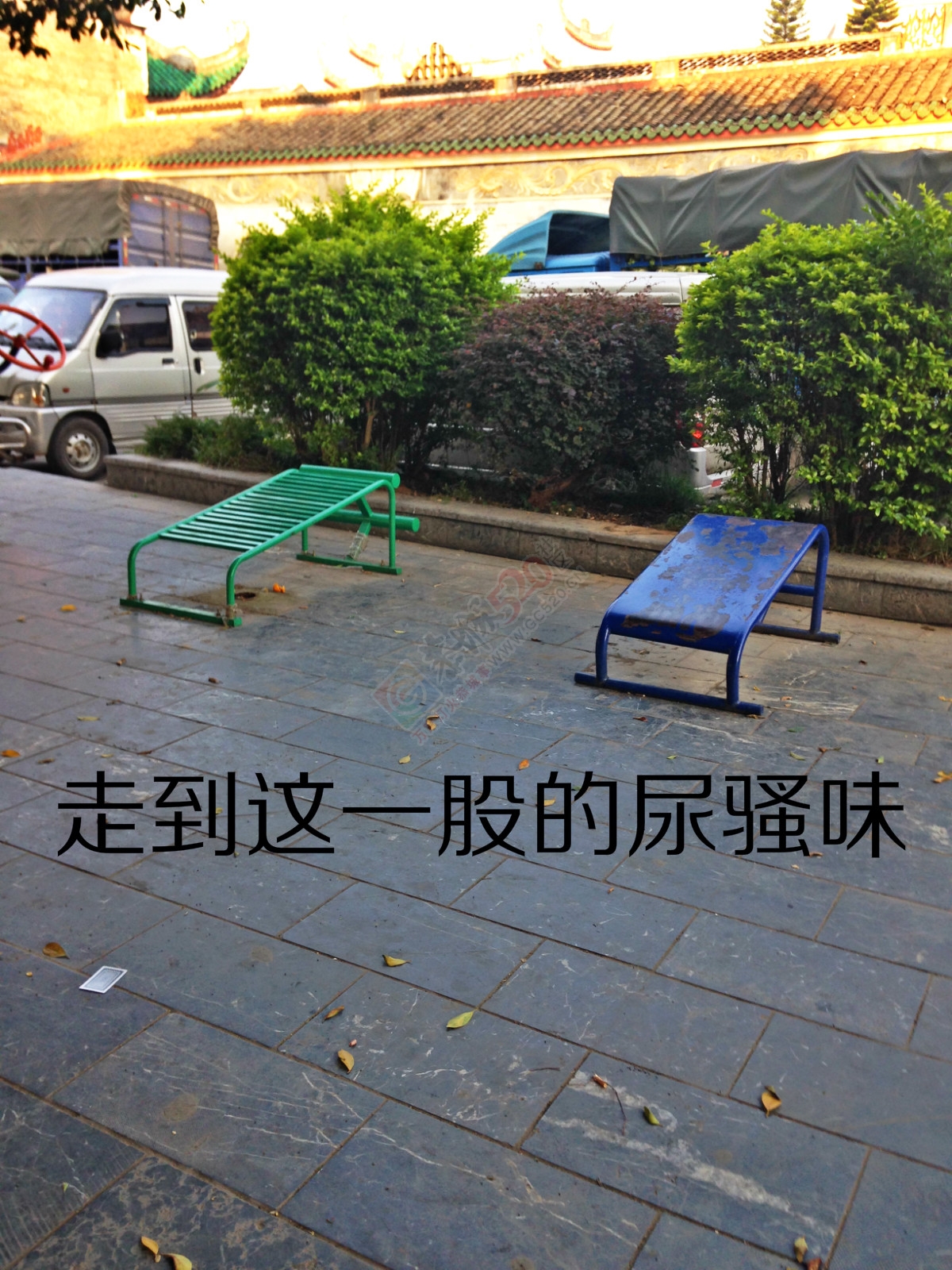 昔日的小广场如今已成了“垃圾堆”31 / 作者:恭城520小奈姐姐 / 帖子ID:128568