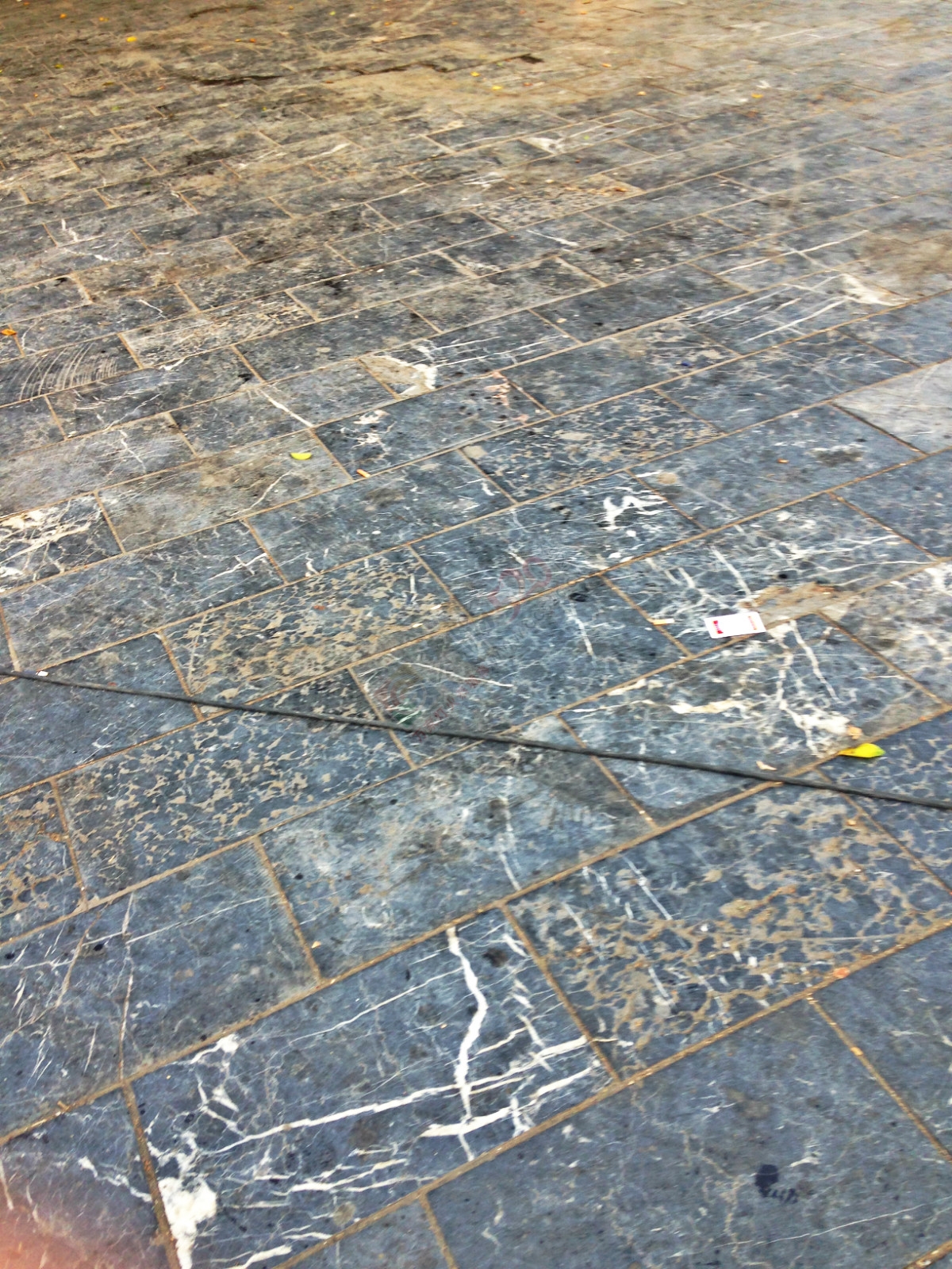 昔日的小广场如今已成了“垃圾堆”462 / 作者:恭城520小奈姐姐 / 帖子ID:128568