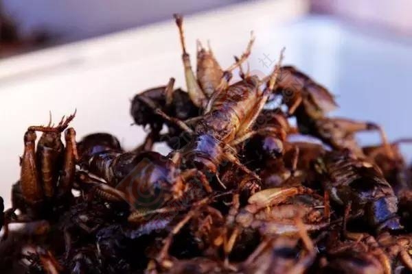 外地人看了恶心，恭城人看了流口水的黑暗料理！你歹过几样呢？830 / 作者:火星娃崽 / 帖子ID:128699