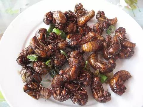 外地人看了恶心，恭城人看了流口水的黑暗料理！你歹过几样呢？575 / 作者:火星娃崽 / 帖子ID:128699