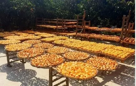 我所见而你未见过的恭城749 / 作者:该做的事情 / 帖子ID:128705