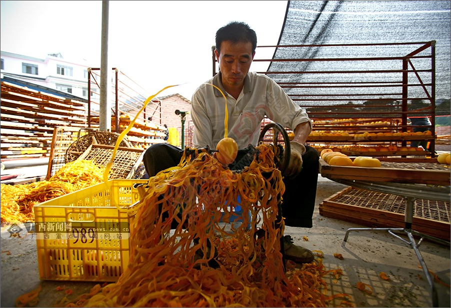 “甜过初恋”的恭城柿饼成长记(859 / 作者:砍柴撞跌老斑鸠 / 帖子ID:128734