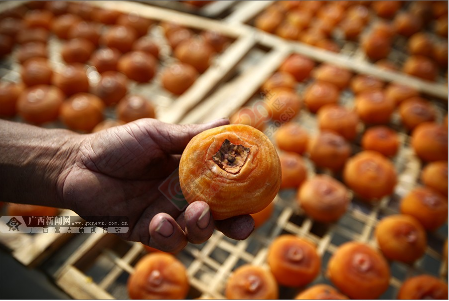 “甜过初恋”的恭城柿饼成长记(751 / 作者:砍柴撞跌老斑鸠 / 帖子ID:128734