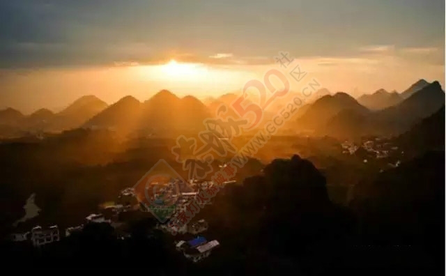 恭城的柿子已红透，这片万亩秋色艳丽的柿子林，它在等着你！494 / 作者:微观恭城 / 帖子ID:128739