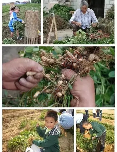 恭城人小时候做过的农活，你做过几样？764 / 作者:火星娃崽 / 帖子ID:128742
